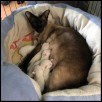 2017 May 24th Day 1 Darkstar &amp Kitts